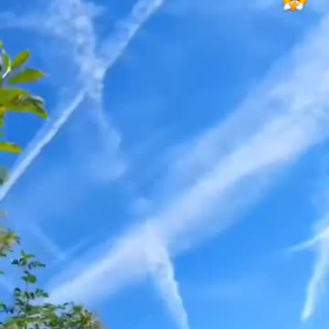 Hey @elonmusk - now you & President Trump hold the power, please can we...