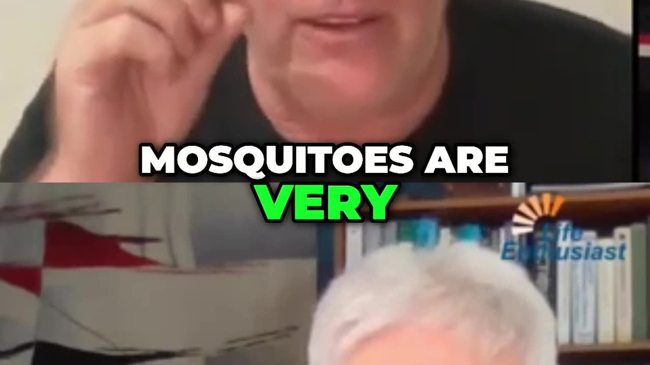 Mosquito Madness: Surviving Outdoor Dining in the Tropics