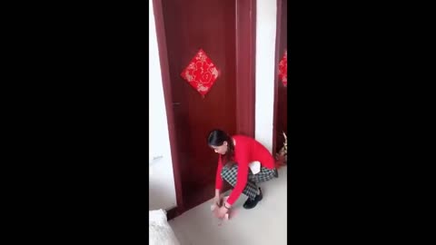 “Sexy funny videos “😂