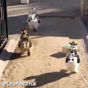 Art in Flight: Birds Captured in Motion