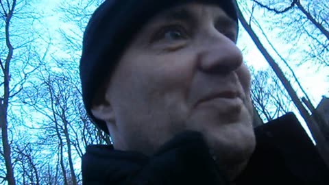 Pålsjö skog, Helsingborg 4 Jan. 2014