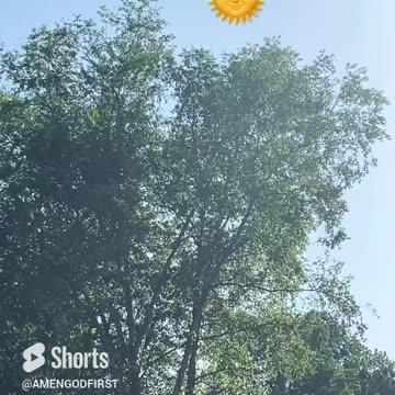 chosen ones are doing work like jesus!