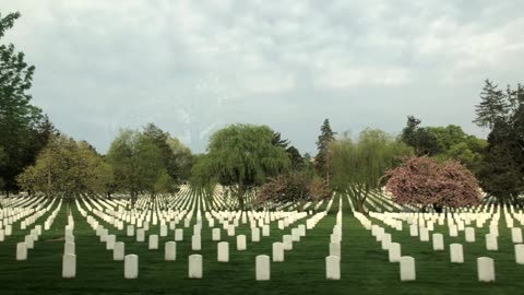 American Veterans Courage Under Fire