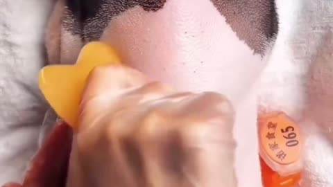 Leitão assado🤤