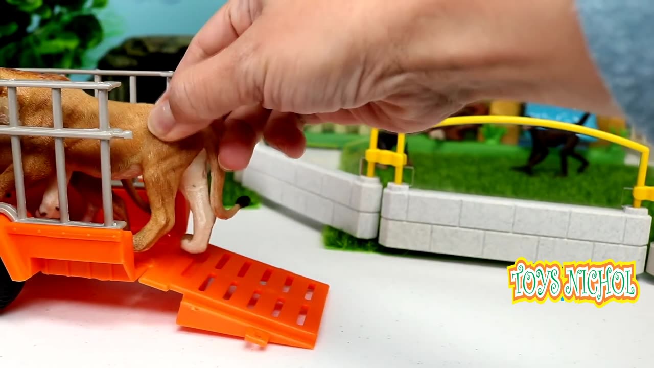 Feeding Bananas and Apples to Chimpanzees and Monkeys in Open Enclosures