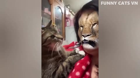 Best Funny Animal Videos - Funniest Cats And Dogs Video
