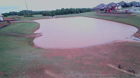 The Pond