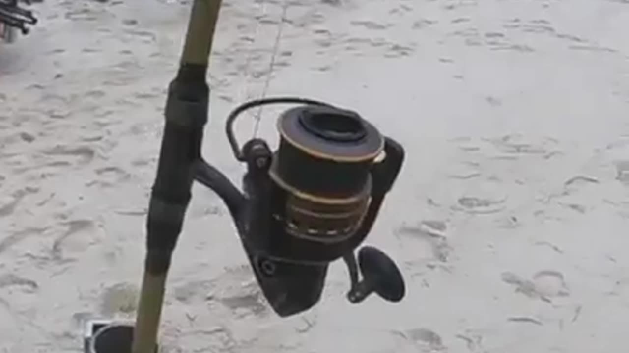 A new method of fishing with a toy boat