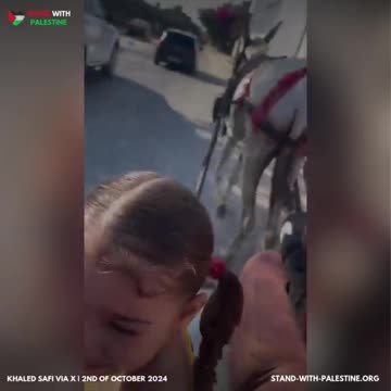 Her smile. Her pigtails. The innocent face of Palestinian childhood.