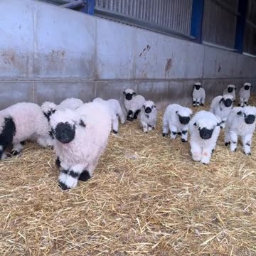 Happy orthodox Easter Sunday 😊😊🙏