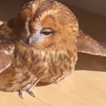 How much we love the warmth the sun provides