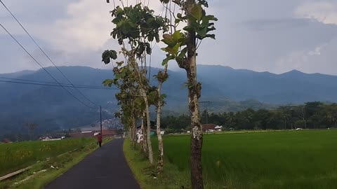 Farm field with beautiful view