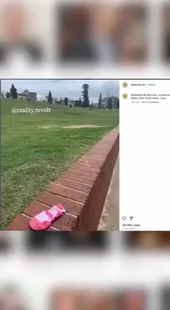 Down The Rabbit Hole