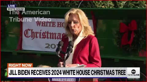 “Survives A Cat 4 Hurricane But Not The Biden’s”: Joe and Jill Slammed for Christmas Tree Choice