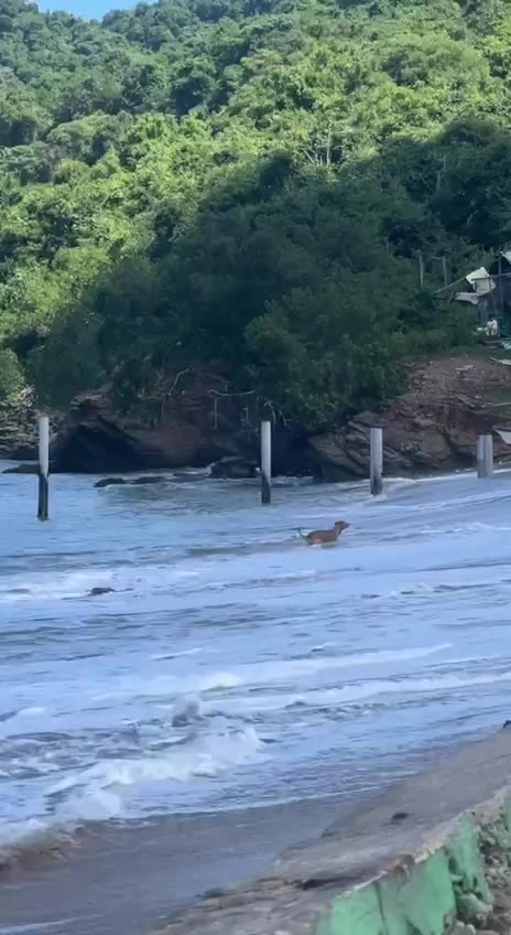 How I spend my time during Caribbean vacation