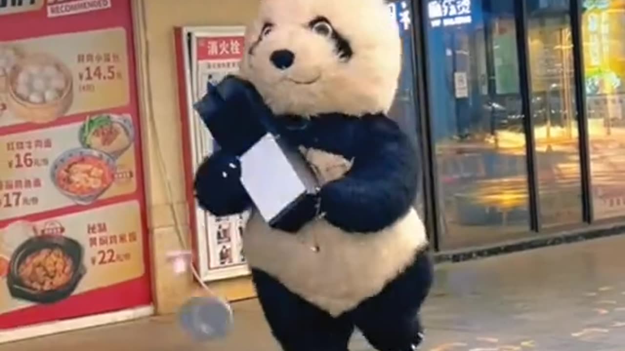 Funny video