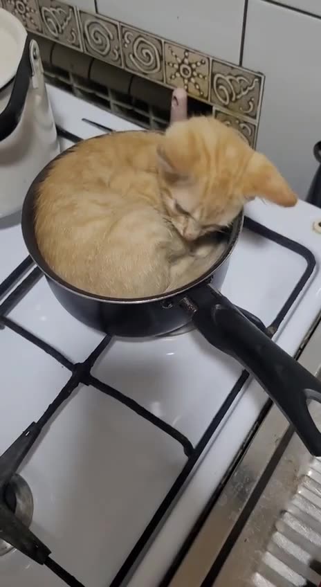 Use a different pan please 😂😂