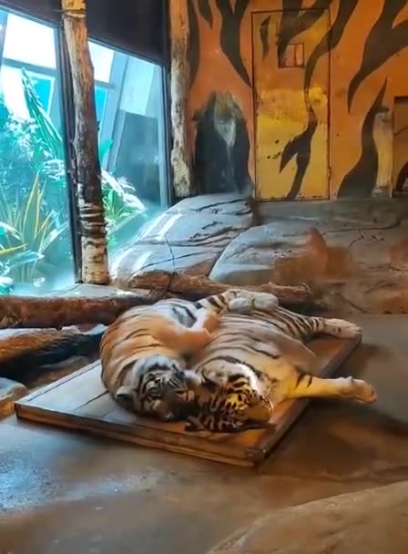 She’s the boss 😂😂