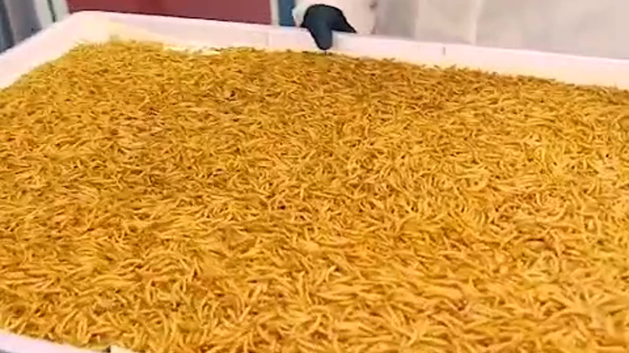 Οι "καλύτερες τροφές" για Πρωτεΐνη !