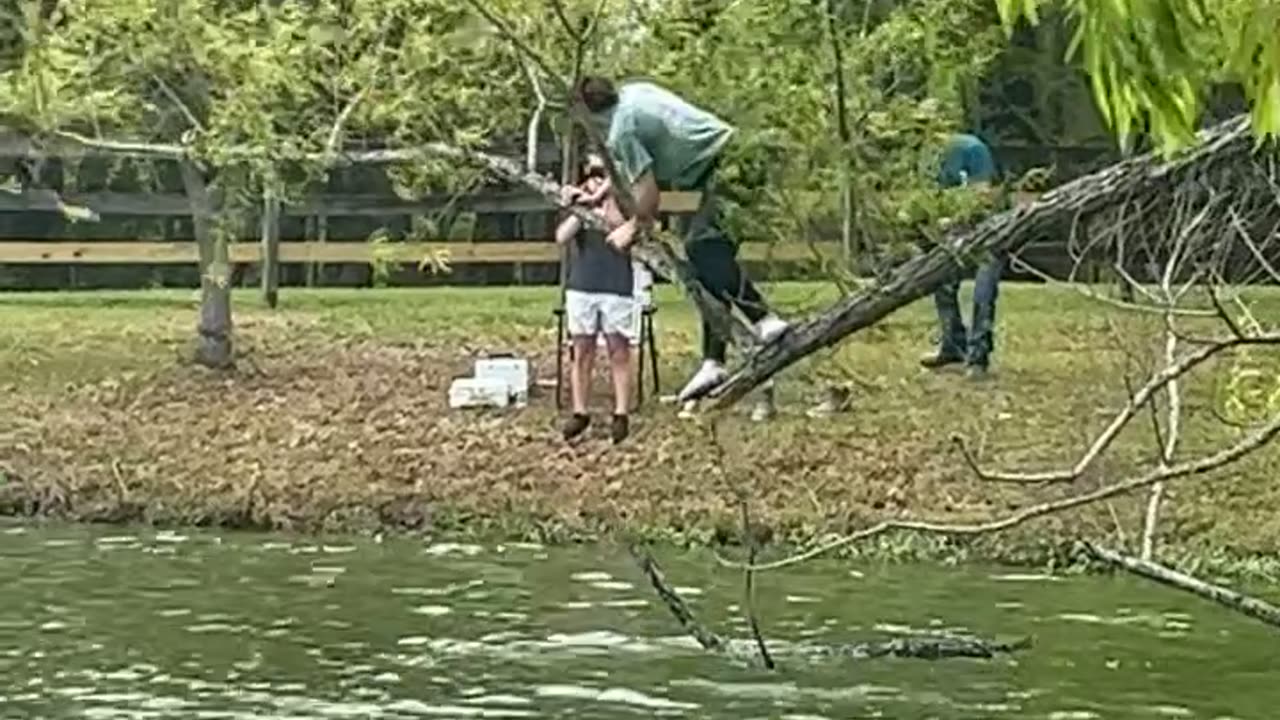 Woman Climbs on Precarious Tree Branch to Retrieve Fishing Line