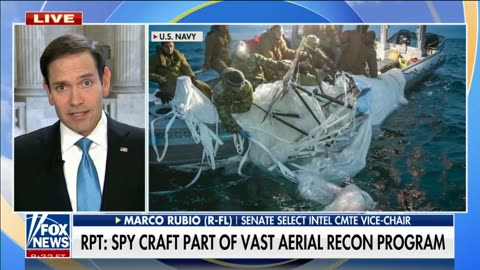 Senator Rubio on the Balloon: "Agencies of the Fed Gov knew this balloon was heading to the US"