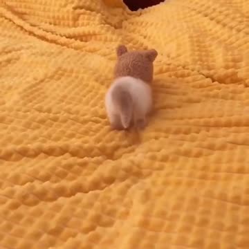 Cats leave prints on your heart-