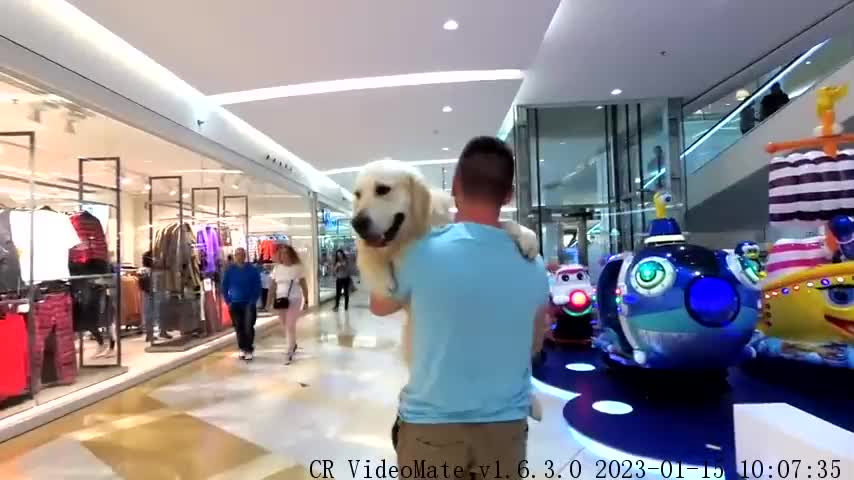 The Reaction of People to the Fact That I Carry My Dog in the Mall