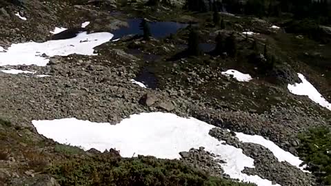 ALTA MOUNTAIN--Panorama; cliff; mosquito sounds