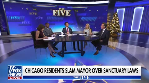 'The Five': Chicago residents rage at 'crooked Democrats'