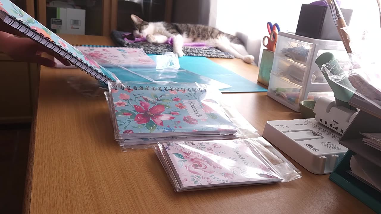 I started a Planner and Stationery Business with no money | How, What, Where and Why || 2024