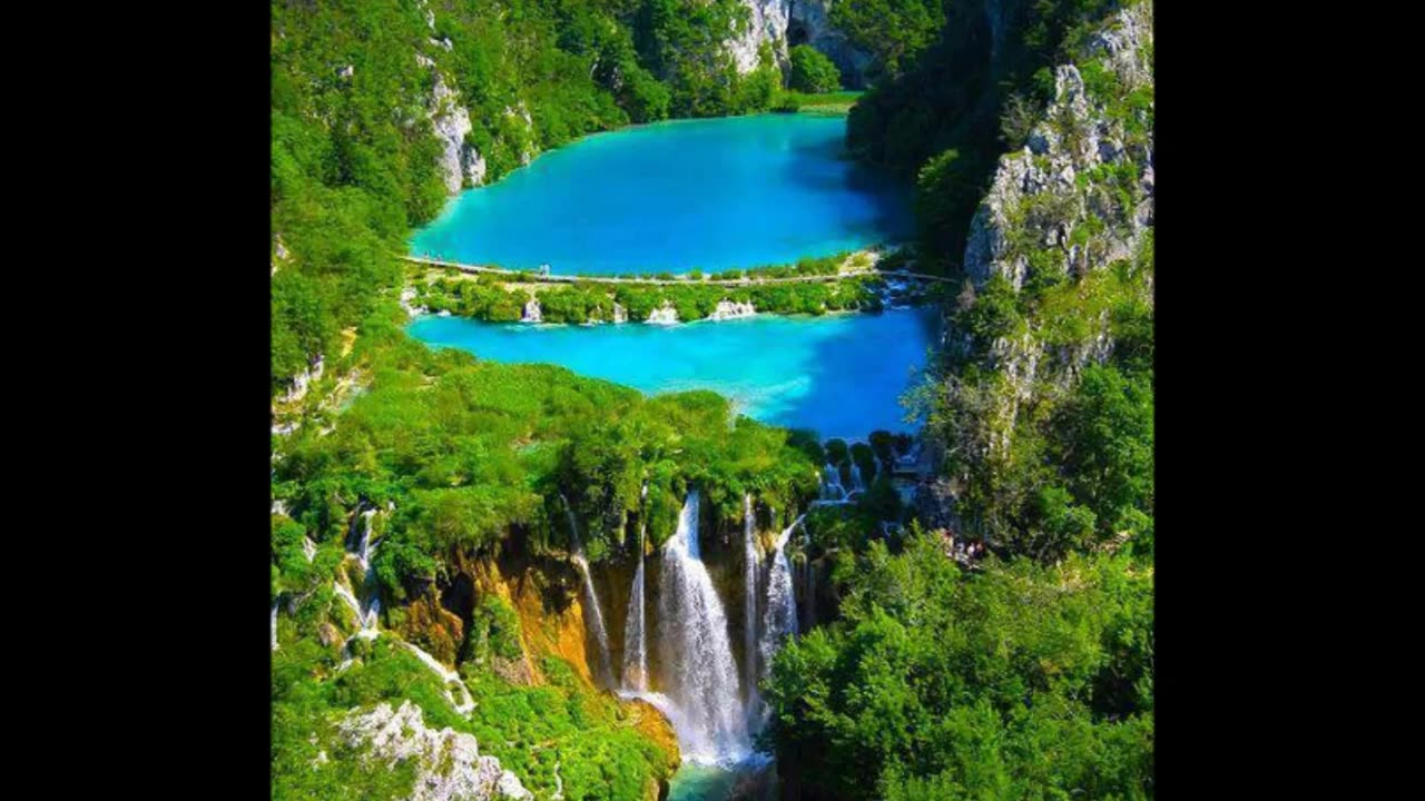 Dracula's golden cups 🥤