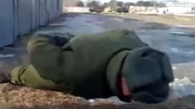 USA thinking they do the best push ups vs Russia