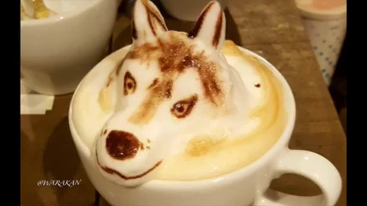 Husky in a cup