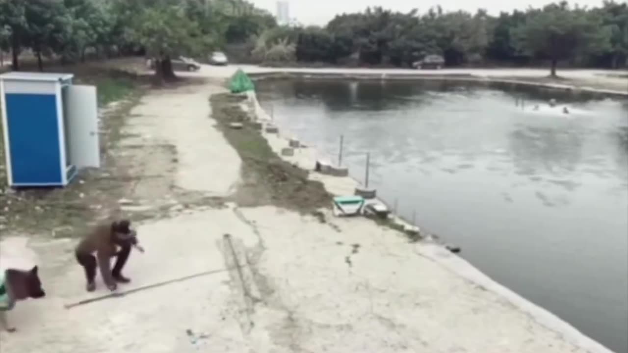 This dog catching a fish while his owner is away..