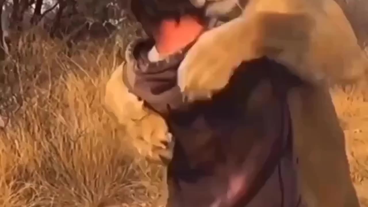 friendship between wild animals and humans