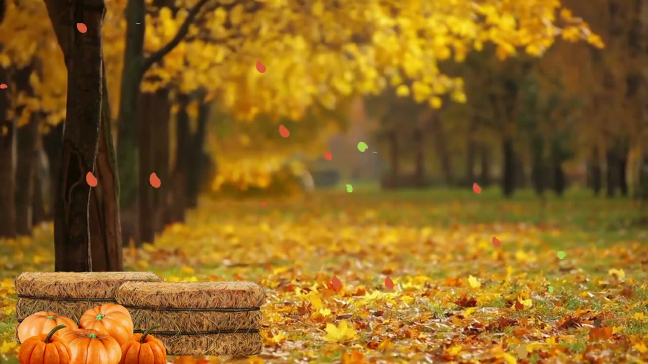 The Harmony of Fall: Music to Enrich Your Experience