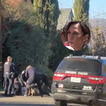 Do we need to see white people also get beaten