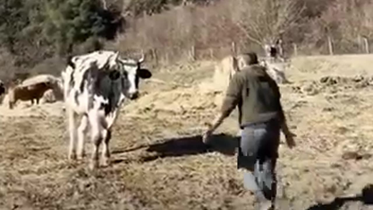 Animal love... it's better than human love
