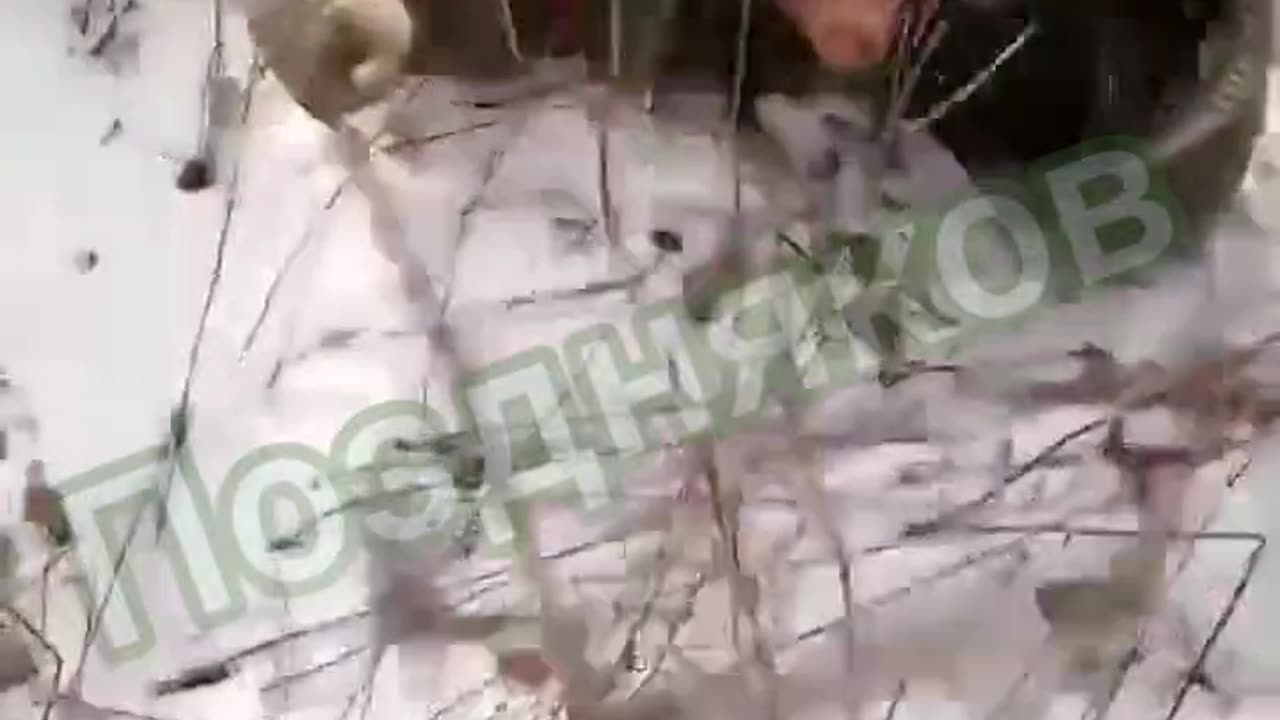 GRAPHIC 18+ Ukrainians shooting Russian soldiers in the head