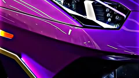 Full Purple Lamborghini