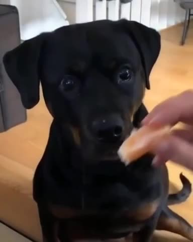 Who doesn’t love clementine oranges 😍