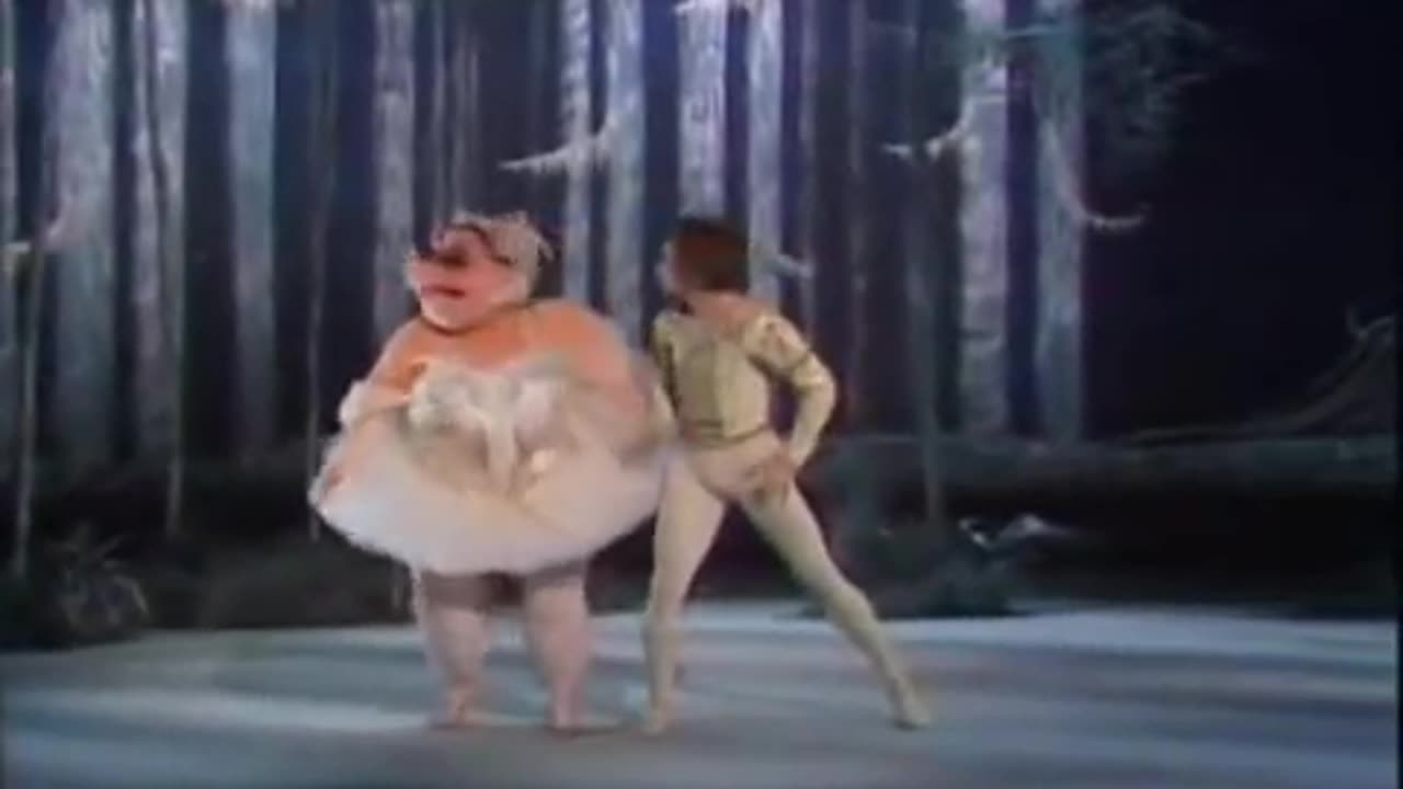 Rudolph Nureyev at Muppet Show