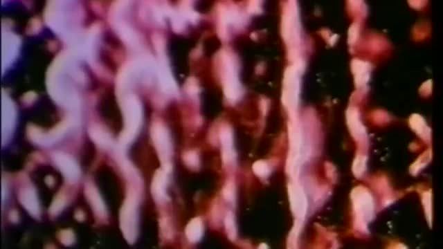 Cymatics Soundscapes Bringing Matter to Life with Sound (1986)