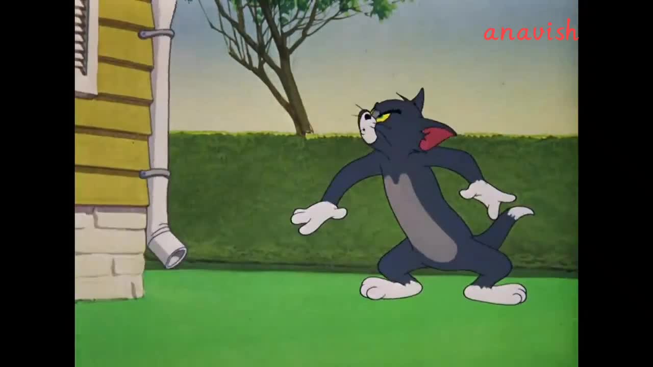 Tom and Jerry