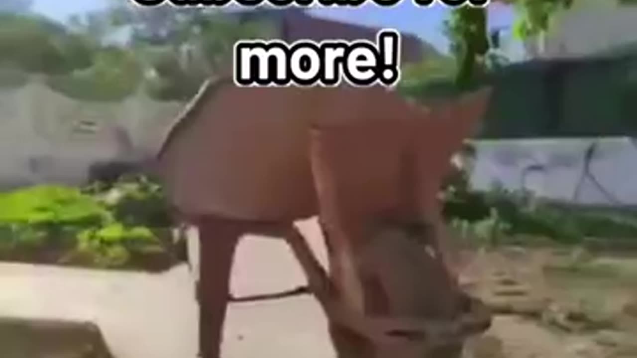 Memes I Found On Discord v68
