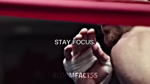 Stay Focused