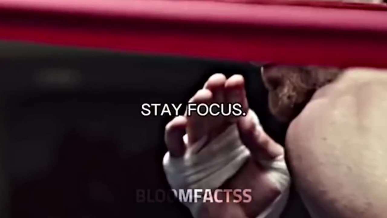 Stay Focused