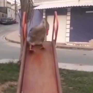 Always be young at heart 😍😊🙏🙏