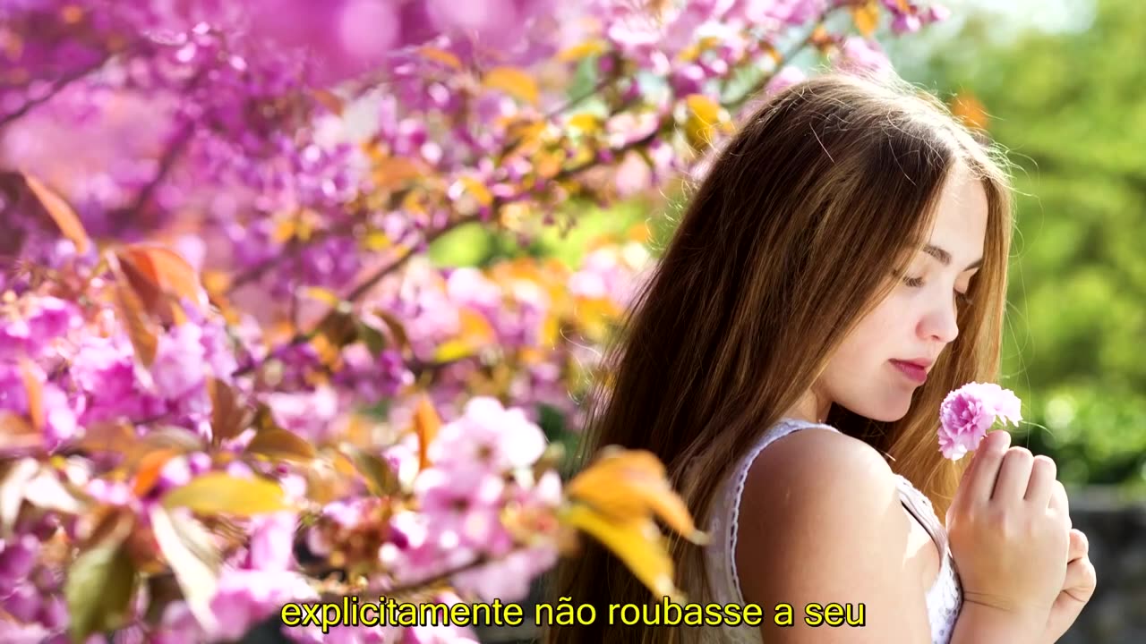 Feminismo Libertou os Homens - Happy Humble Hermit