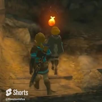 Link Has Drip